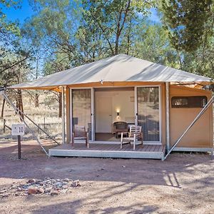 Family Tent